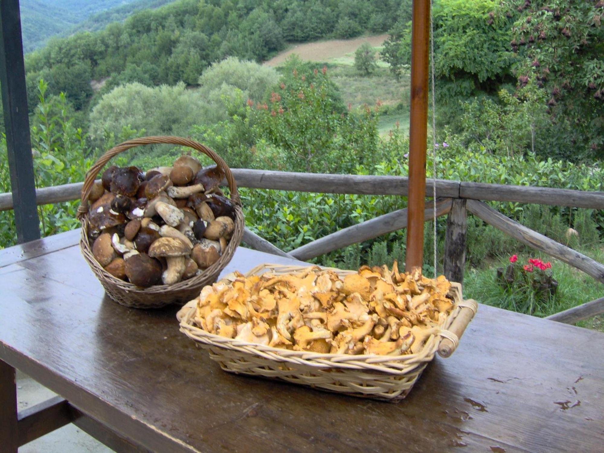 La Cittadella Dei Monti Sibillini Guest House มอนเตมอนาโก ภายนอก รูปภาพ